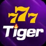 777tiger Champion Casino App